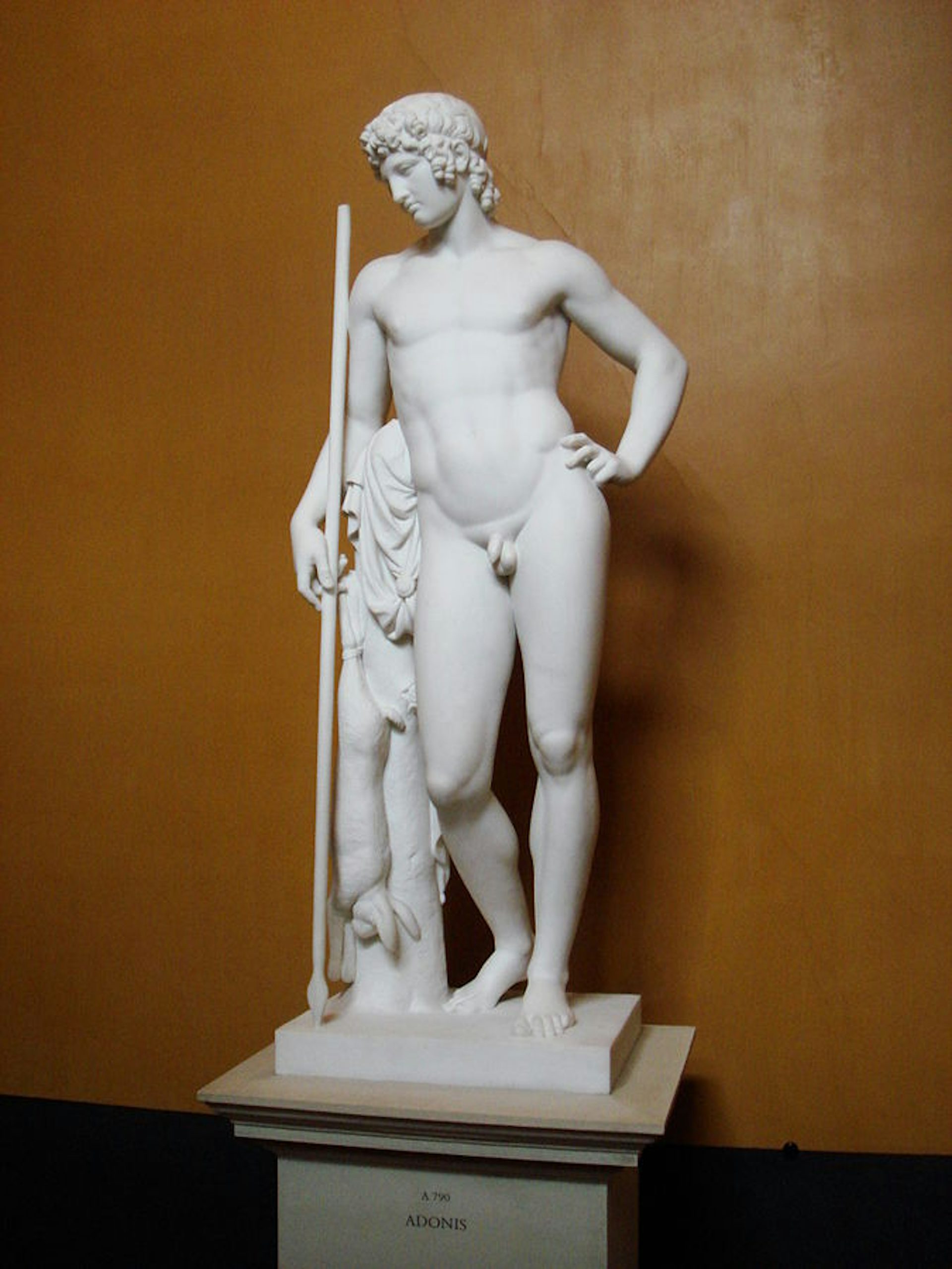 Thorvaldsens Museum - Adonis